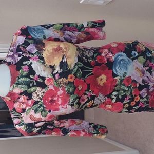 Alice & Olivia blooming garden dress size 0